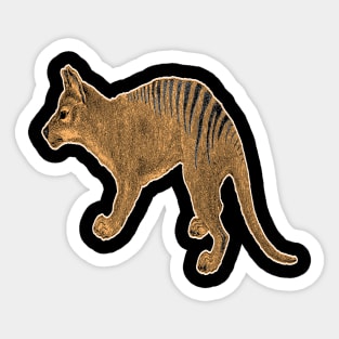 Thylacine or Tasmanian Tiger Sticker